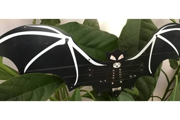 Bouw je eigen vleermuis